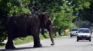 Medieval lodging fantasies