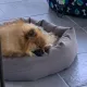 miiiaaa