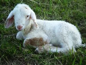 Education for all initiative