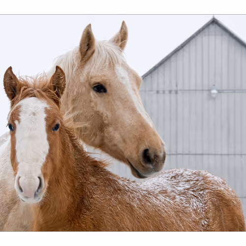 Backpacking through continents