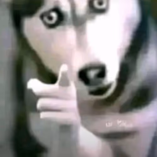 hopoqu
