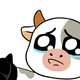 SOMNIA COW
