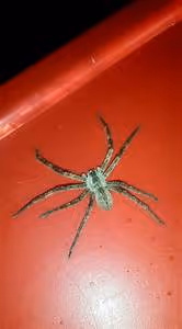 Empathy and resilience