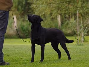 Tropical biodiversity wonders