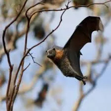 Empathy and resilience