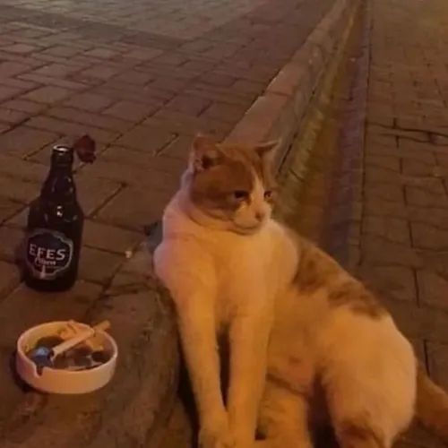 siya