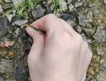 12.690