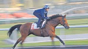 Structural design wonders