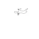 noname jet