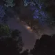 CloudCash