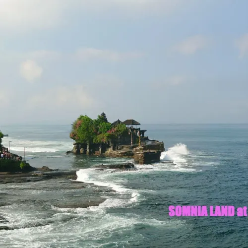 somnia land