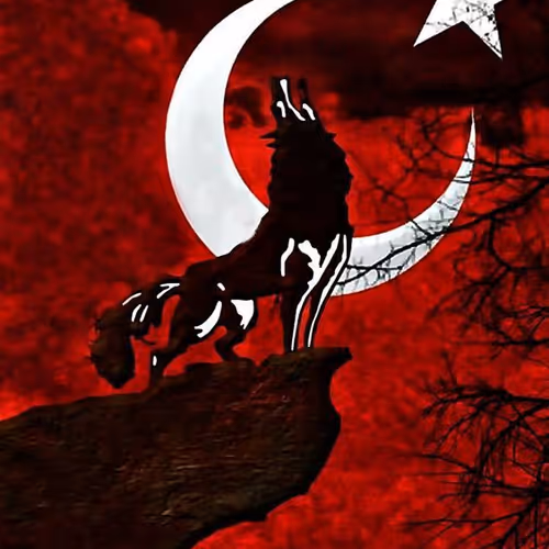wolfsom