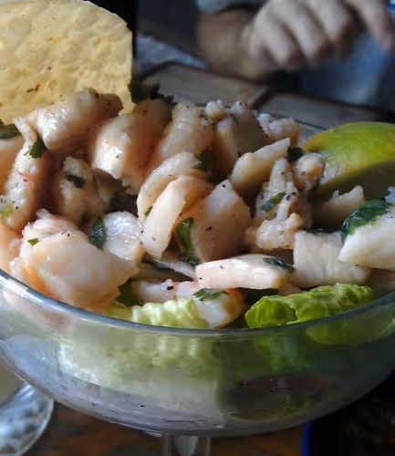 Antarctic polar expeditions