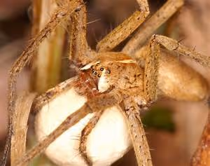 Cooking classes abroad