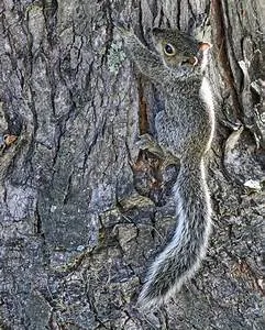 Entrepreneurship boot camps