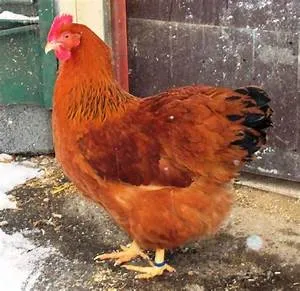 Future tech innovations