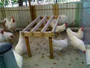 Social responsibility actions