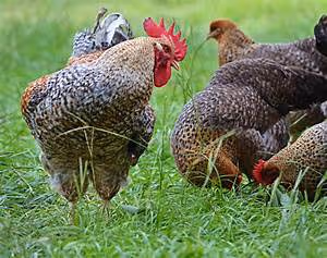 Nautical journeys abroad