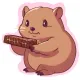 wombat