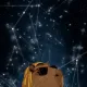 Chill Space Capy
