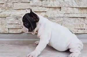 Time-traveling adventures