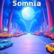 Drimora