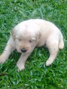 Wealth management insights