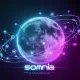 Somnia Spacer