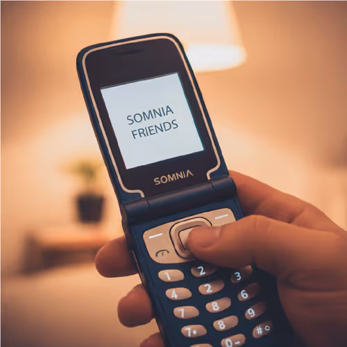 Somnia Friendship