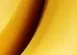33445