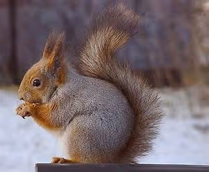 Motorcycle road trips