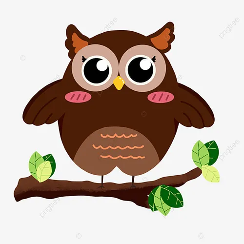 The OWL