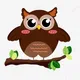 The OWL