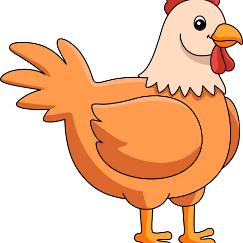 Cute Chickens
