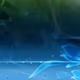 ads