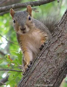 Historical landmarks exploration