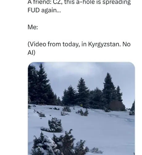 Cz is scammer 