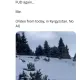 Cz is scammer 