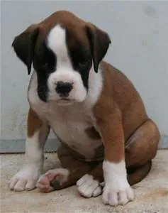 Cave exploration expeditions