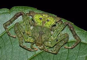 Empowering minds worldwide