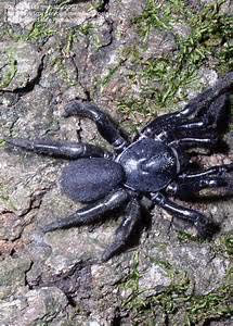 Mind-body harmony journeys