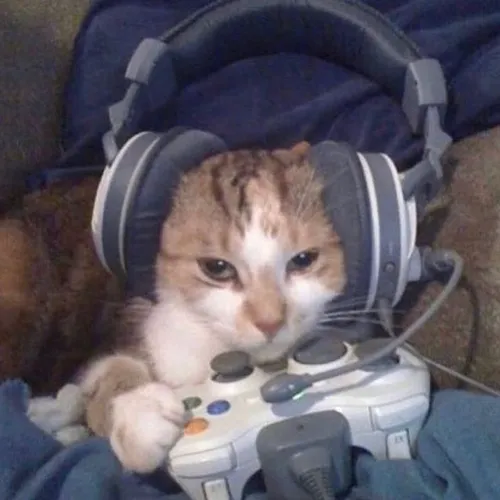 Game Cat