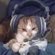 Game Cat