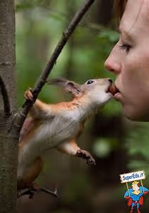 Remote work revolution