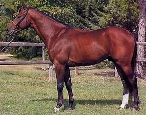 Cross-country road trips