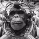 Project space monkey