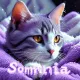 SomniacsMorning 