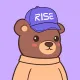 bear