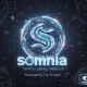 Somnia DreamerZ