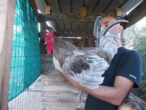 Preserving cultural heritage